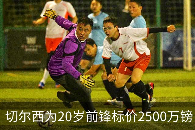 切尔西为20岁前锋标价2500万镑，引进时仅花600万