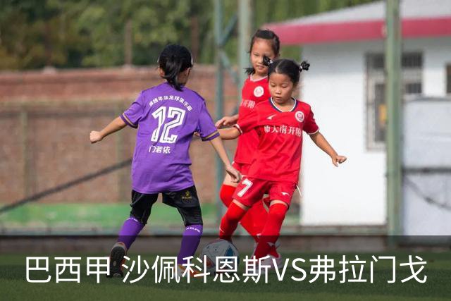 巴西甲 沙佩科恩斯VS弗拉门戈